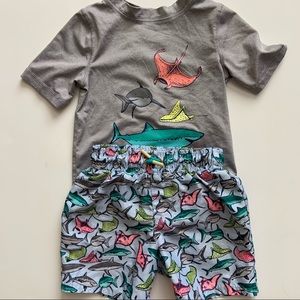 Cat & Jack Toddler Swimset - 3T